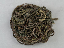 Load image into Gallery viewer, Forest 3 Handspun Art Yarn 21yds