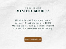 Load image into Gallery viewer, Wool Roving Mystery Bundle (roll ends and scraps)